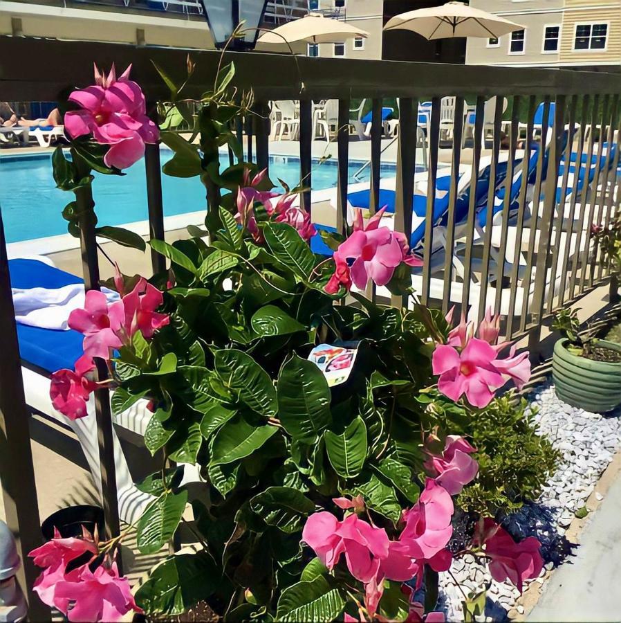 Beach Colony Motel Wildwood Crest Dış mekan fotoğraf