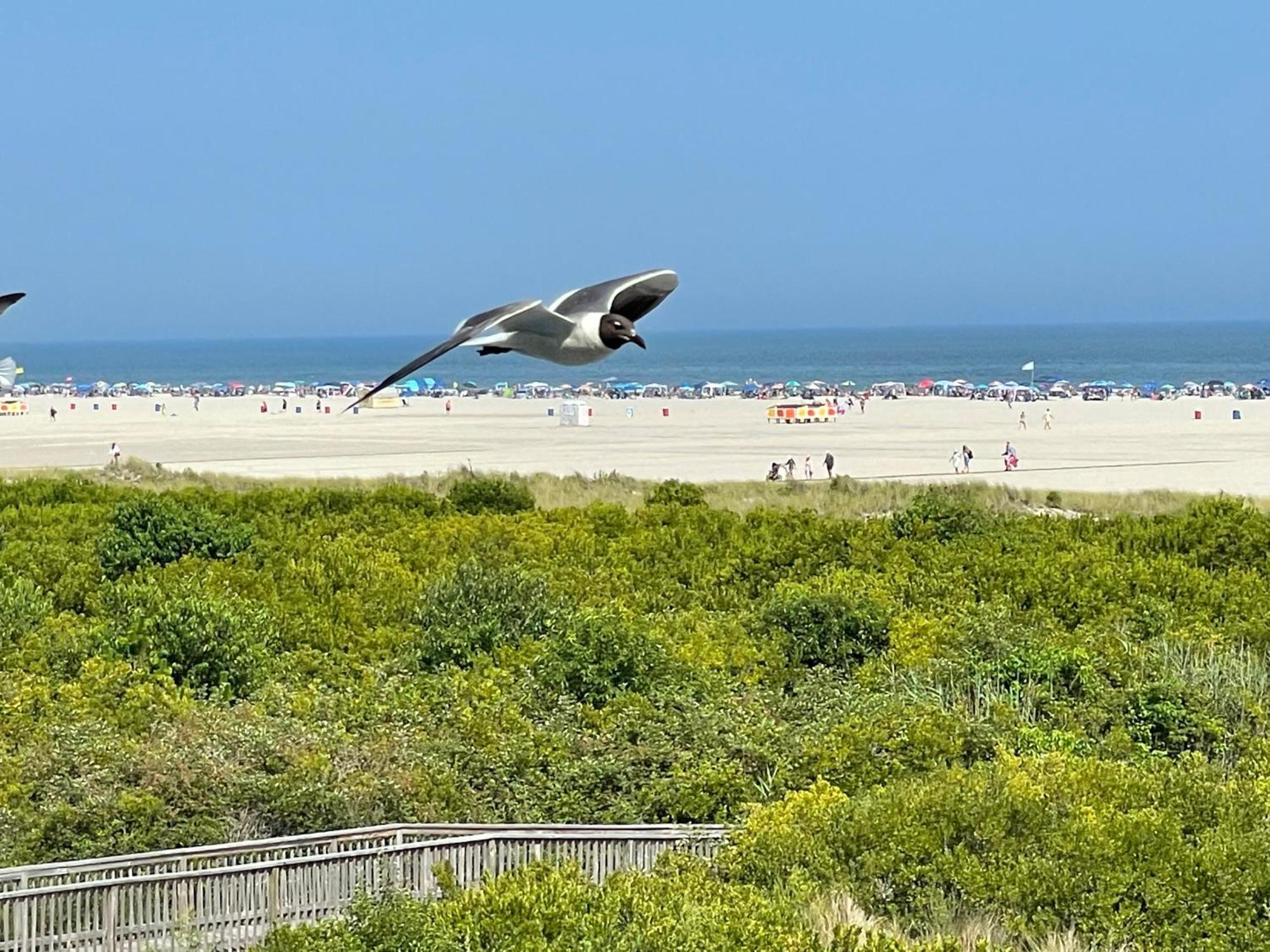 Beach Colony Motel Wildwood Crest Dış mekan fotoğraf